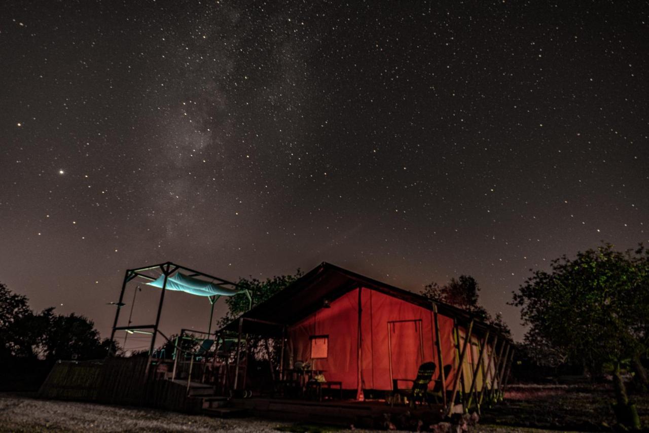 Ses Quinta Luxury Safari Tents 파데르네 외부 사진